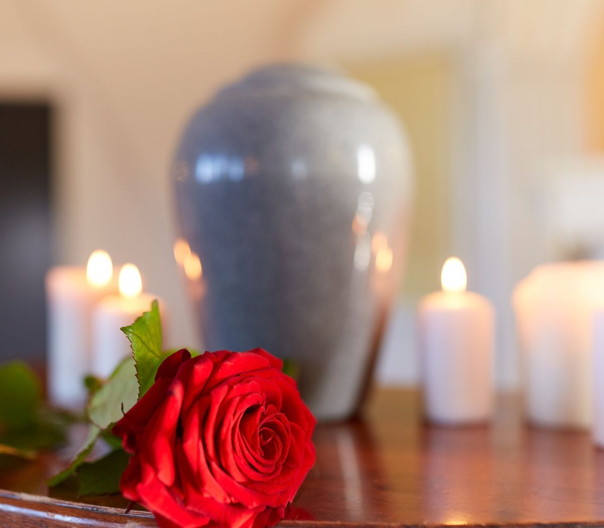 Cremation Services in Fort Lauderdale
