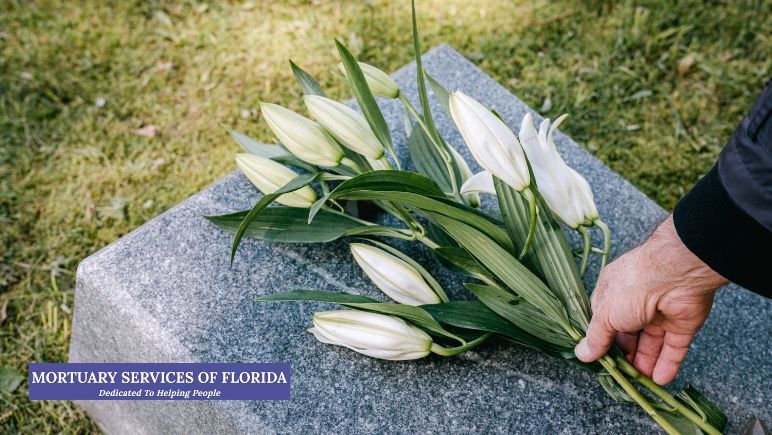 Cremation Services in Fort Lauderdale