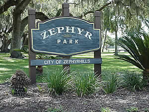 Zephyrhills Low Cost Cremation